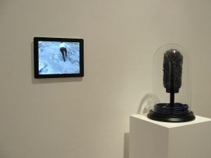 An installation by Mark Peter Wright featuring a video screen and a windjammer and microphone cable beneath scientific glass.