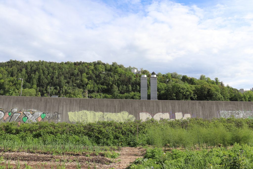 Image shows grassland with fencing and distant pillars